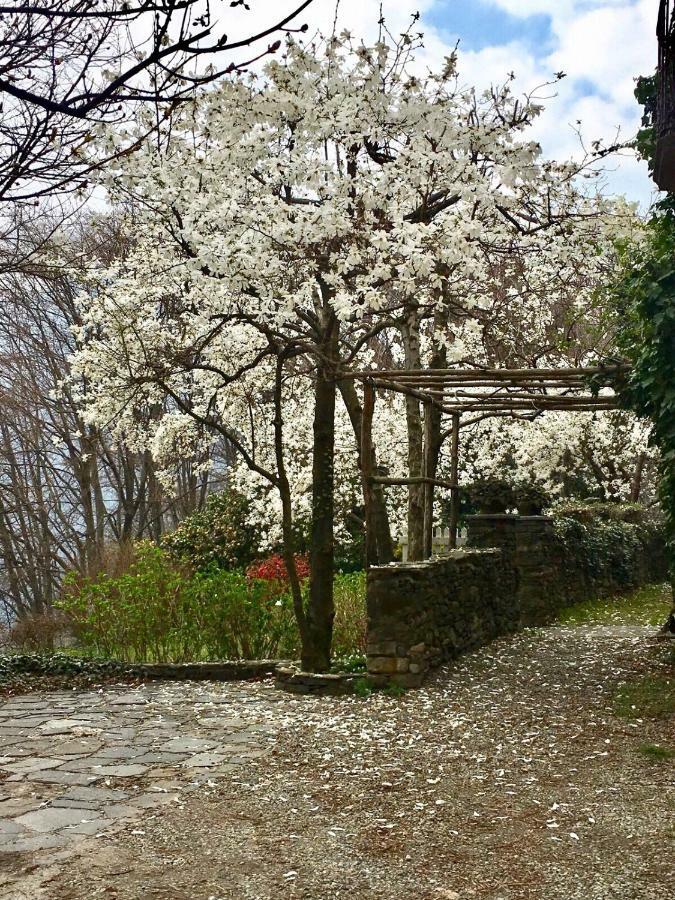 Casa Cesira Daire Pettenasco Dış mekan fotoğraf